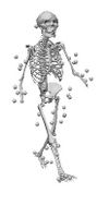 Skelwalk.jpg
