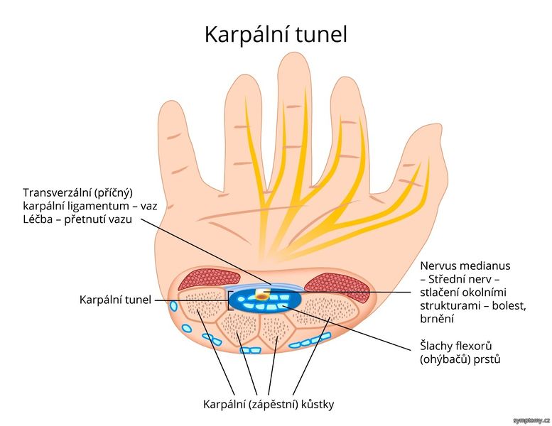 Soubor:Karpalni-tunel.jpg